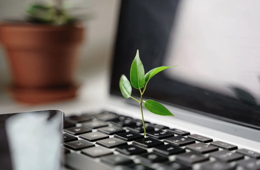 Green UX : qu’est-ce que c’est et pourquoi l’utiliser ?